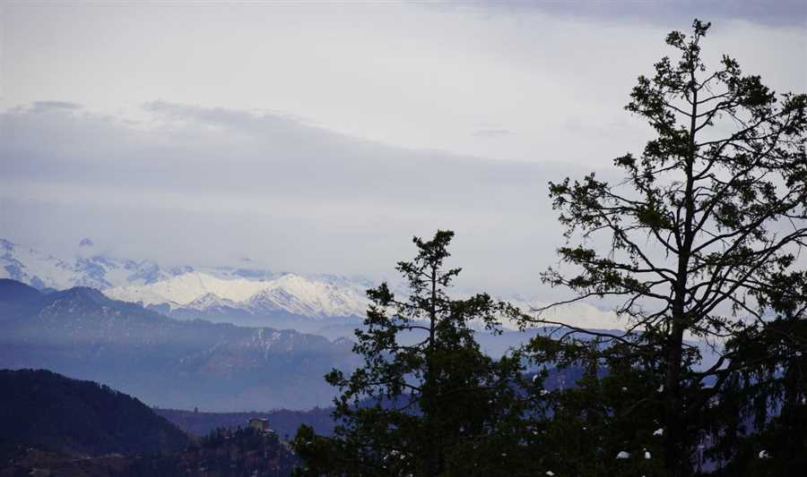 Kashmir Bliss – Super Deluxe Package